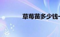 草莓苗多少钱一棵（草莓苗）