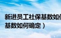 新进员工社保基数如何确定的（新进员工社保基数如何确定）