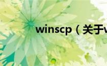 winscp（关于winscp的介绍）