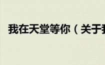 我在天堂等你（关于我在天堂等你的介绍）