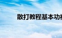 散打教程基本功视频（散打教程）