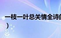 一枝一叶总关情全诗的意思（一枝一叶总关情）
