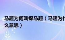 马超为何叫锦马超（马超为什么会被称为锦马超 那锦又是什么意思）