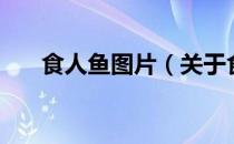 食人鱼图片（关于食人鱼图片的介绍）