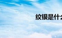纹银是什么（纹银）