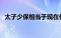 太子少保相当于现在什么官职（太子少保）