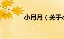 小月月（关于小月月的介绍）