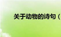 关于动物的诗句（关于动物的诗句）