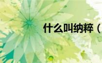 什么叫纳粹（什么叫据悉）