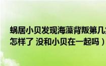 蜗居小贝发现海藻背叛第几集（电视剧 蜗居 海藻后来结局怎样了 没和小贝在一起吗）