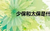 少保和太保是什么意思（少保）
