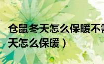 仓鼠冬天怎么保暖不需要买什么东西（仓鼠冬天怎么保暖）