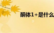 酮体1+是什么意思（酮体1）