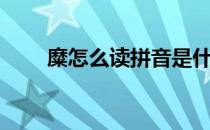 糜怎么读拼音是什么字（糜怎么读）