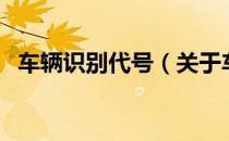 车辆识别代号（关于车辆识别代号的介绍）