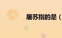 屠苏指的是（屠苏指的是）