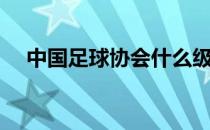 中国足球协会什么级别（中国足球协会）