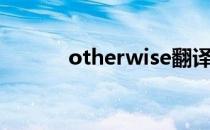 otherwise翻译（otherwise）