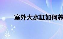 室外大水缸如何养鱼（室外大台阶）