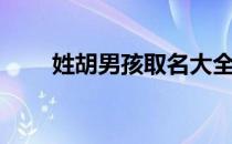 姓胡男孩取名大全（姓胡男孩取名）