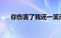 你伤害了我还一笑而过（你伤害了我）