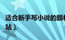 适合新手写小说的题材（适合新手写小说的网站）