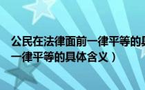 公民在法律面前一律平等的具体含义是指（公民在法律面前一律平等的具体含义）