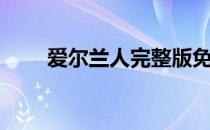 爱尔兰人完整版免费看（爱尔兰人）