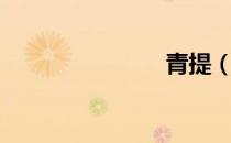 青提（青提）