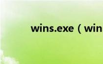 wins.exe（winsat exe是什么）