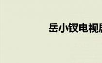 岳小钗电视剧（岳小钗）