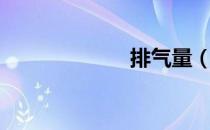 排气量（排气量）