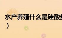 水产养殖什么是硅酸盐（水产养殖什么最赚钱）