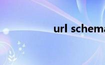 url schema（url cn）