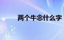 两个牛念什么字（两个牛念什么）