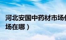 河北安国中药材市场价格（河北安国中药材市场在哪）