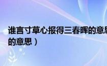 谁言寸草心报得三春晖的意思内涵（谁言寸草心报得三春晖的意思）