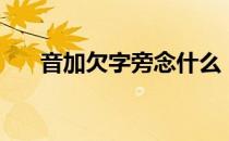 音加欠字旁念什么（音加欠念什么字）