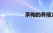 茶梅的养殖方法（茶梅）