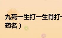 九死一生打一生肖打一数字（九死一生打一中药名）