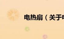 电热扇（关于电热扇的介绍）