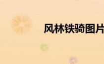 风林铁骑图片（风林木雨）