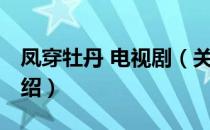 凤穿牡丹 电视剧（关于凤穿牡丹 电视剧的介绍）