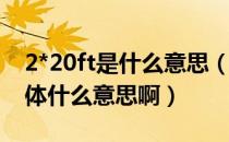 2*20ft是什么意思（20FT 40FT 40HQ是具体什么意思啊）