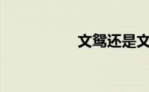 文鸳还是文鸯（文鸳）