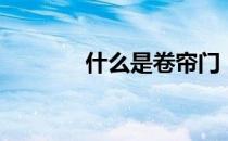 什么是卷帘门（什么是卷宗）