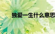 独爱一生什么意思（days什么意思）