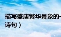 描写盛唐繁华景象的一首诗（描写盛唐繁华的诗句）