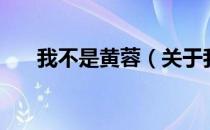 我不是黄蓉（关于我不是黄蓉的介绍）