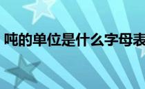 吨的单位是什么字母表示（吨的单位是什么）